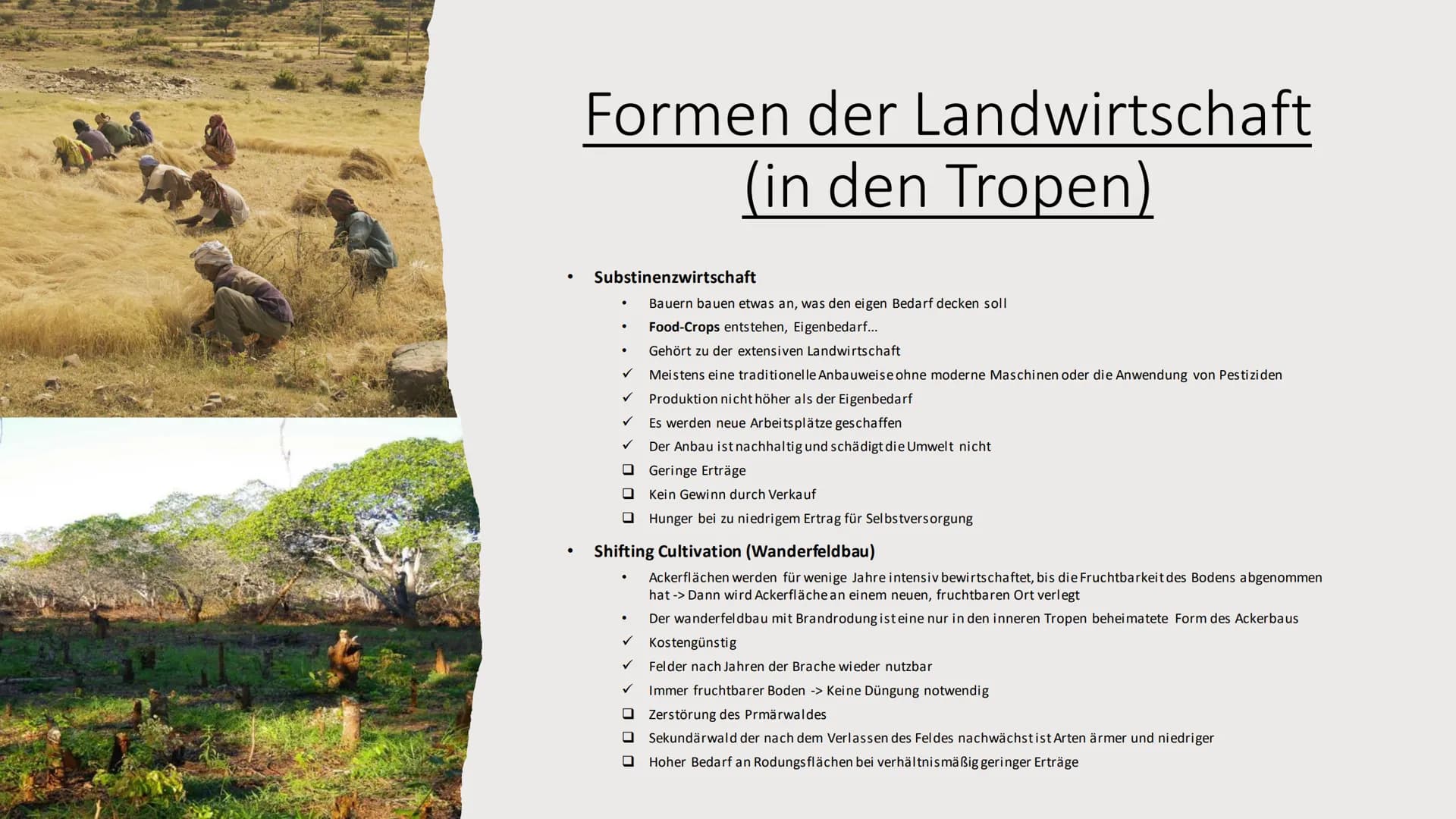 Landwirtschaft
Erdkunde-LK Inhaltsverzeichnis
●
Fachbegriffe, Klimazonen
• Passende Lokalisierung
• Landwirtschaft (Tropen und gemäßigten Zo