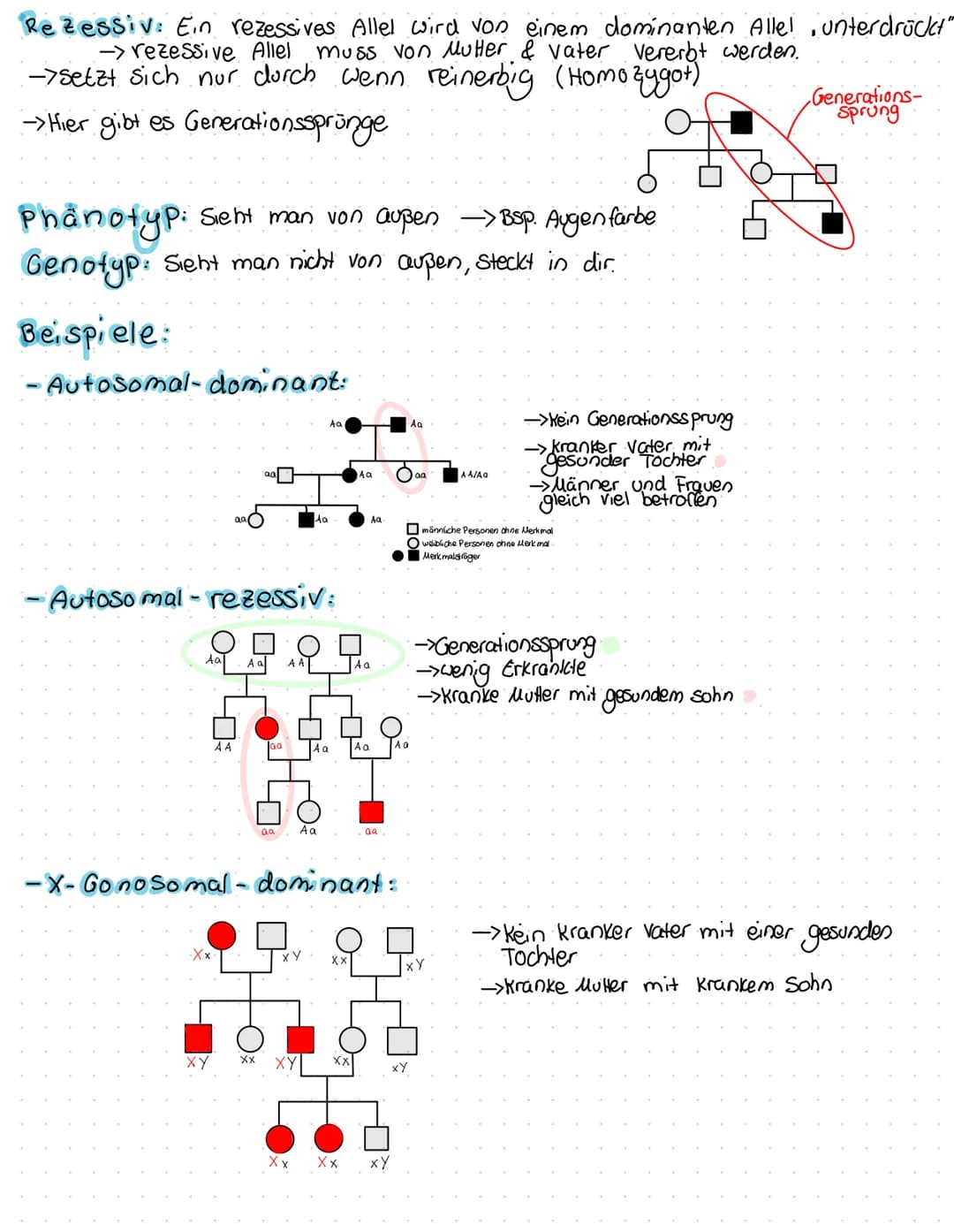 S
t a
m
BSP.:
b
Y-Gonosomal:
Aa
a
AQ
Im Prinzip gent es bei der Stammbaumanalyse nicht darum einen bestimmten
Erbgang zu beweisen, sondern e