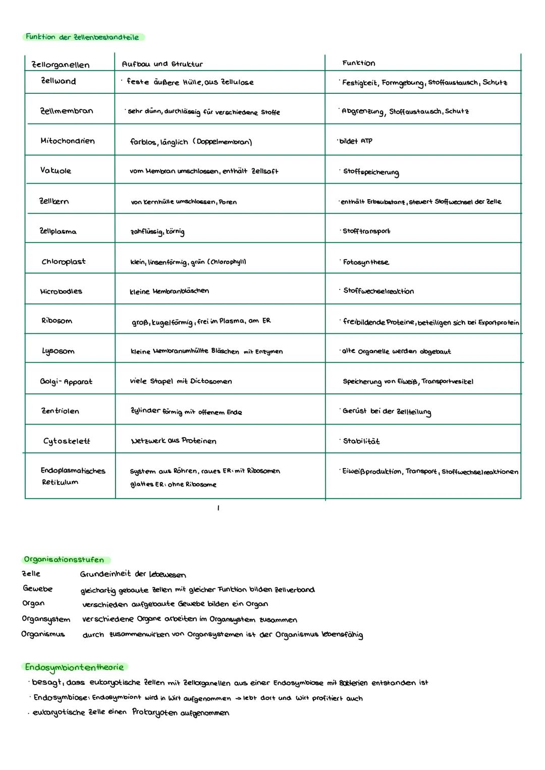 # E- Grundlagen Biologie

## E.1. Struktur und Funktion von Zellen

Kennzeichen des lebens

*   Bewegung aus eigener kraft bewegen

*   Fort