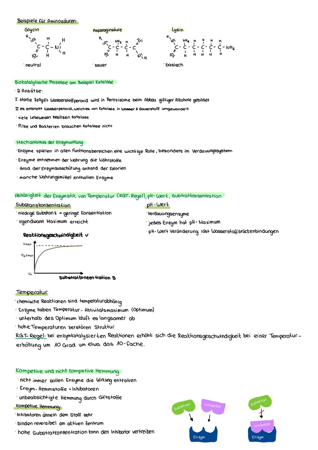 # E- Grundlagen Biologie

## E.1. Struktur und Funktion von Zellen

Kennzeichen des lebens

*   Bewegung aus eigener kraft bewegen

*   Fort