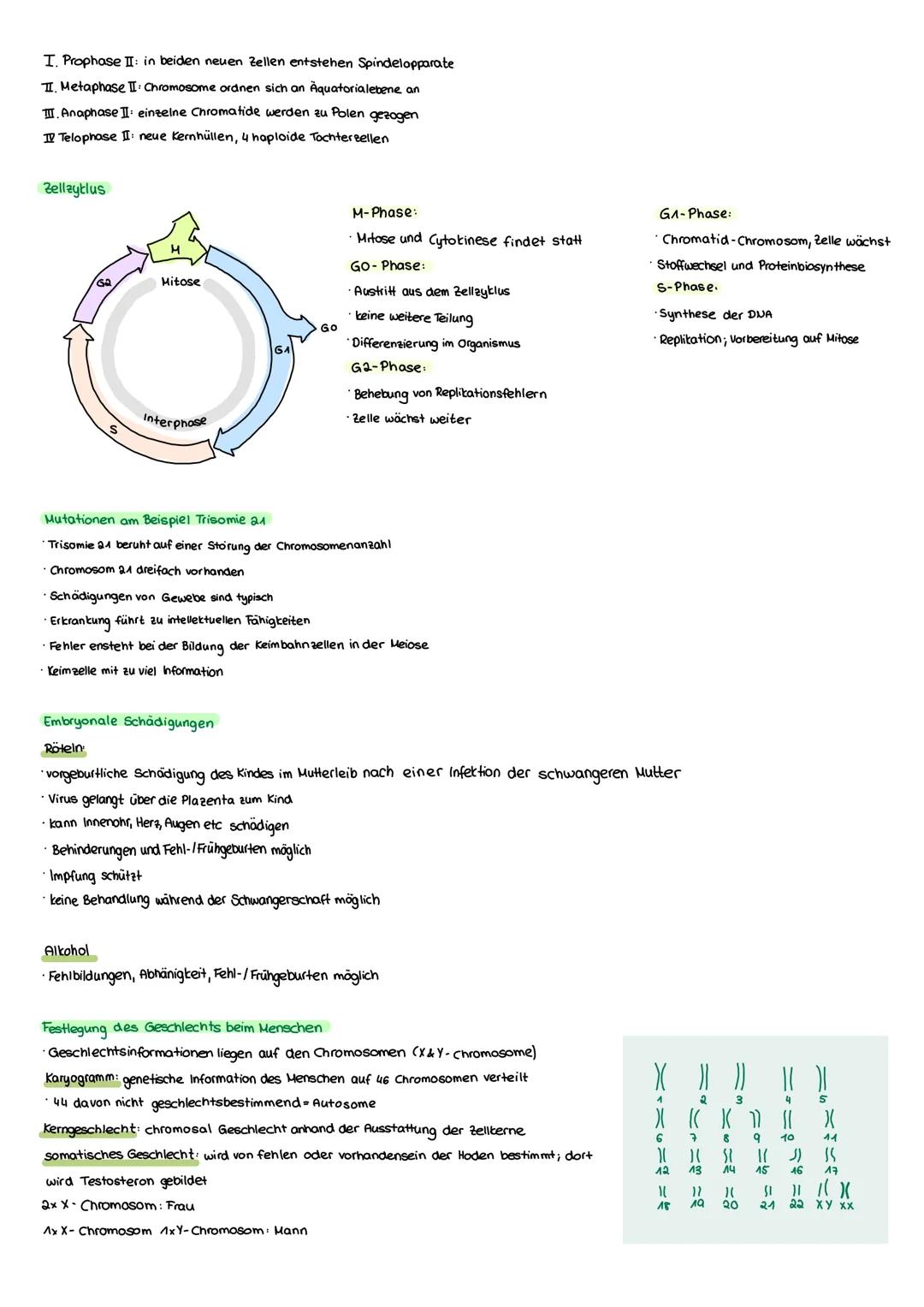 # E- Grundlagen Biologie

## E.1. Struktur und Funktion von Zellen

Kennzeichen des lebens

*   Bewegung aus eigener kraft bewegen

*   Fort
