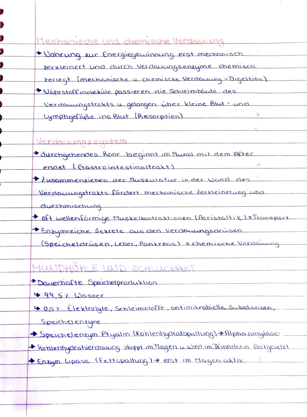 NAHR
NAHRUNGSAUFNAHME & AUSSCHEIDUNG!
+ Überblick des Verdauungssystems.
• Mundhöhle und Schluckakt
Speiseröhre
Magen
Dünndarm
Dickclarm
Leb