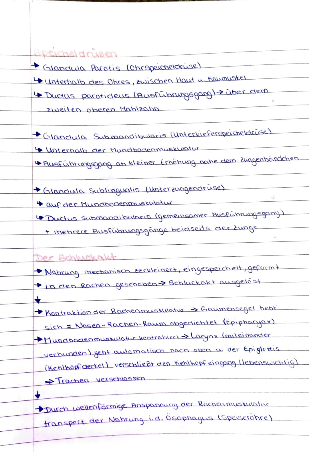 NAHR
NAHRUNGSAUFNAHME & AUSSCHEIDUNG!
+ Überblick des Verdauungssystems.
• Mundhöhle und Schluckakt
Speiseröhre
Magen
Dünndarm
Dickclarm
Leb
