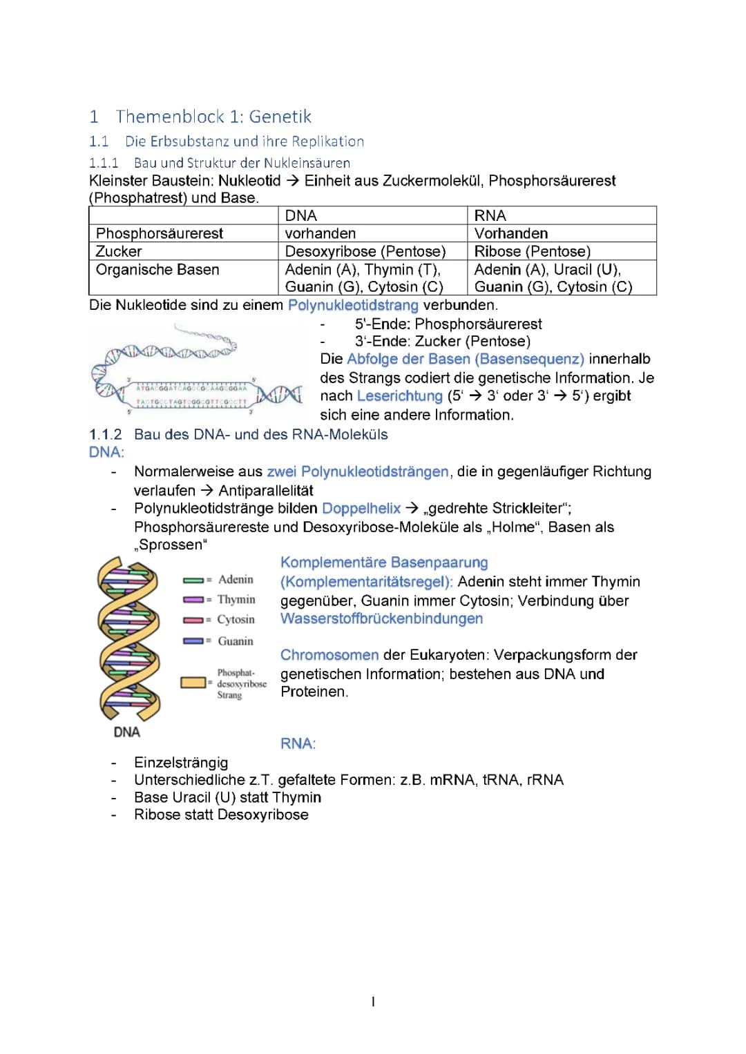 Störung der Genregulation - Entstehung von Krebs