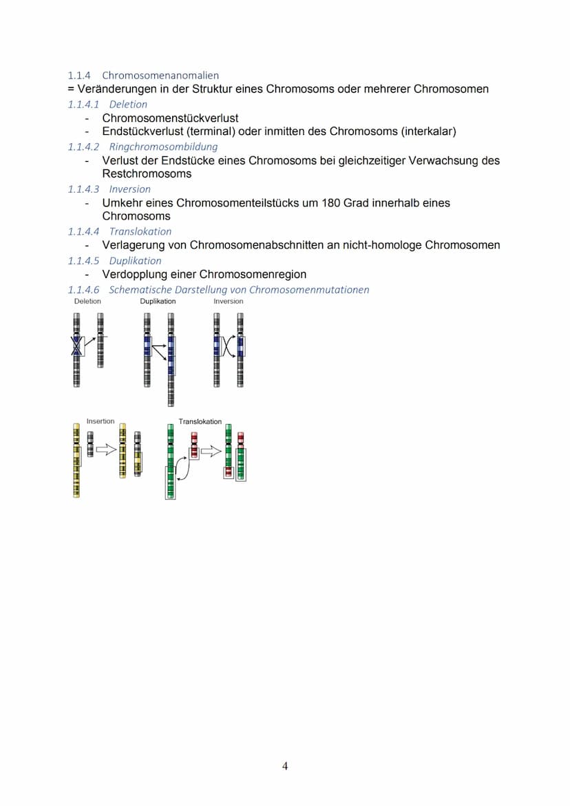 1 Themenblock 1: Genetik
1.1 Die Erbsubstanz und ihre Replikation
1.1.1 Bau und Struktur der Nukleinsäuren
Kleinster Baustein: Nukleotid → E