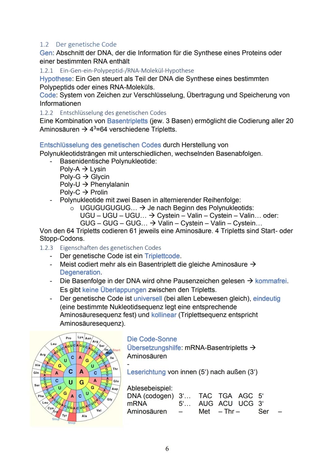 1 Themenblock 1: Genetik
1.1 Die Erbsubstanz und ihre Replikation
1.1.1 Bau und Struktur der Nukleinsäuren
Kleinster Baustein: Nukleotid → E