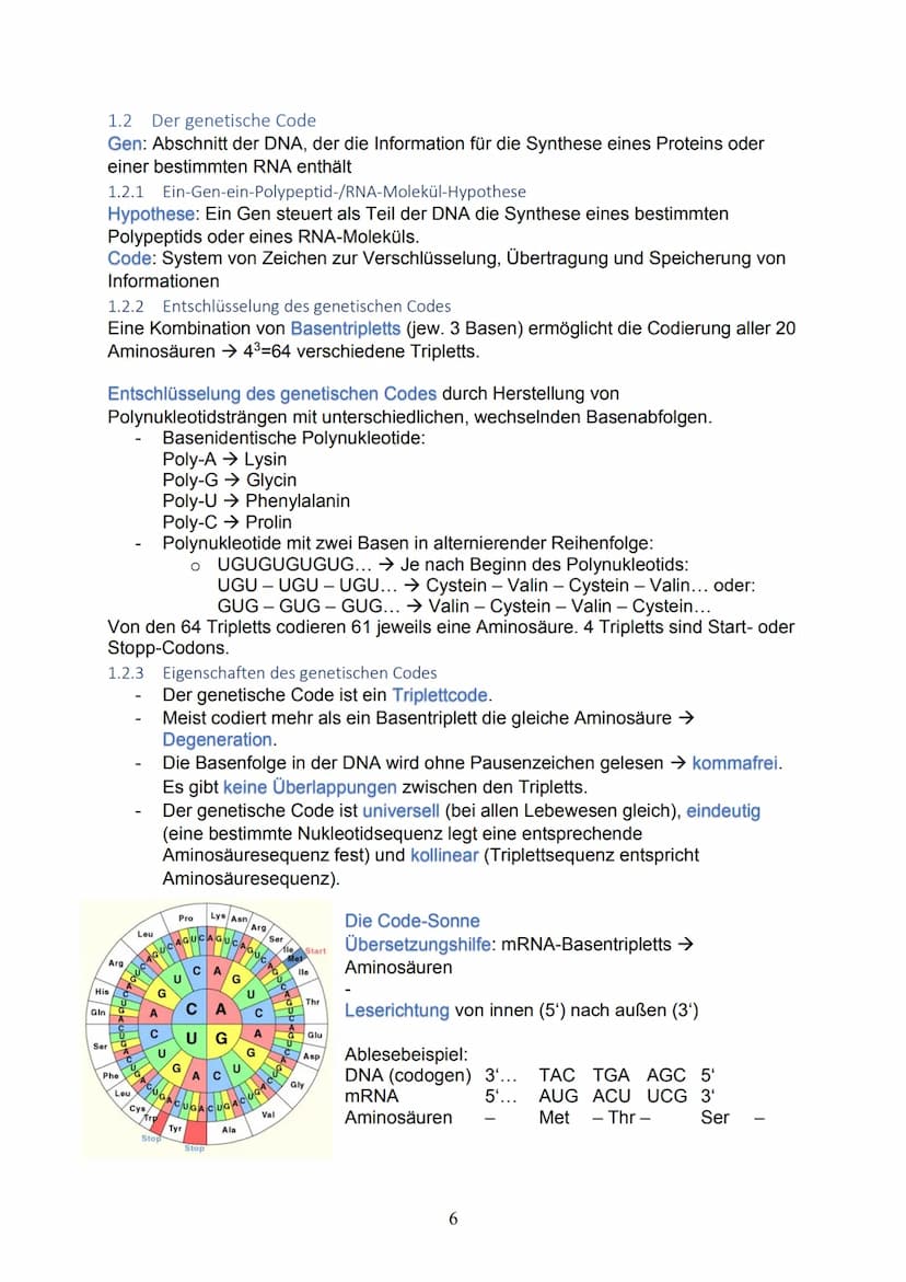 1 Themenblock 1: Genetik
1.1 Die Erbsubstanz und ihre Replikation
1.1.1 Bau und Struktur der Nukleinsäuren
Kleinster Baustein: Nukleotid → E