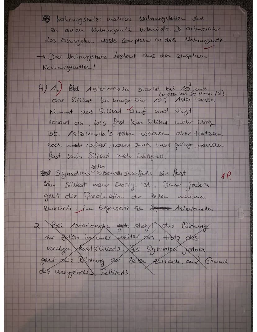 
<p>Ein Ökosystem setzt sich aus verschiedenen Nahrungsketten zusammen, die miteinander zu einem Nahrungsnetz verknüpft sind. Je artenreiche