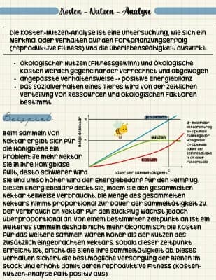 Know Evolution und Verhalten - Kosten-Nutzen-Analyse thumbnail