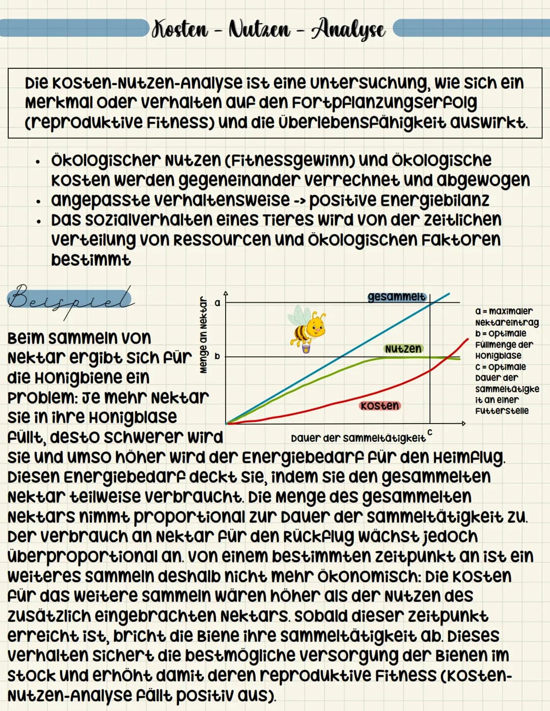 Kosten-Nutzen - Analyse
Die Kosten-Nutzen-Analyse ist eine untersuchung, wie sich ein
Merkmal oder verhalten auf den Fortpflanzungserfolg
(r