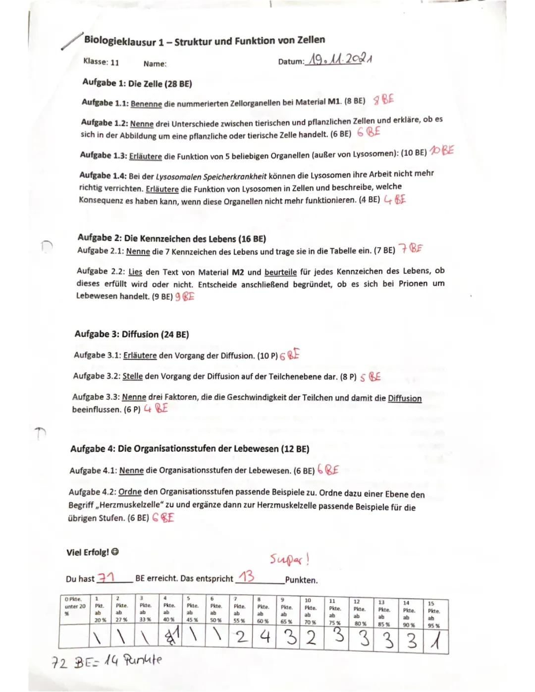 Funktion und Struktur von Zellen