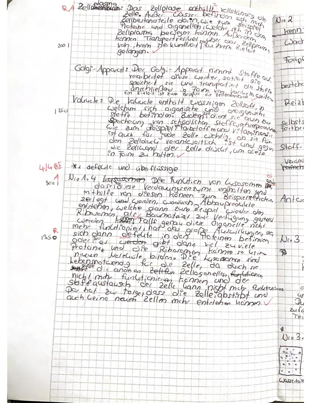 Biologieklausur 1-Struktur und Funktion von Zellen
Klasse: 11
Aufgabe 1: Die Zelle (28 BE)
Aufgabe 1.1: Benenne die nummerierten Zellorganel