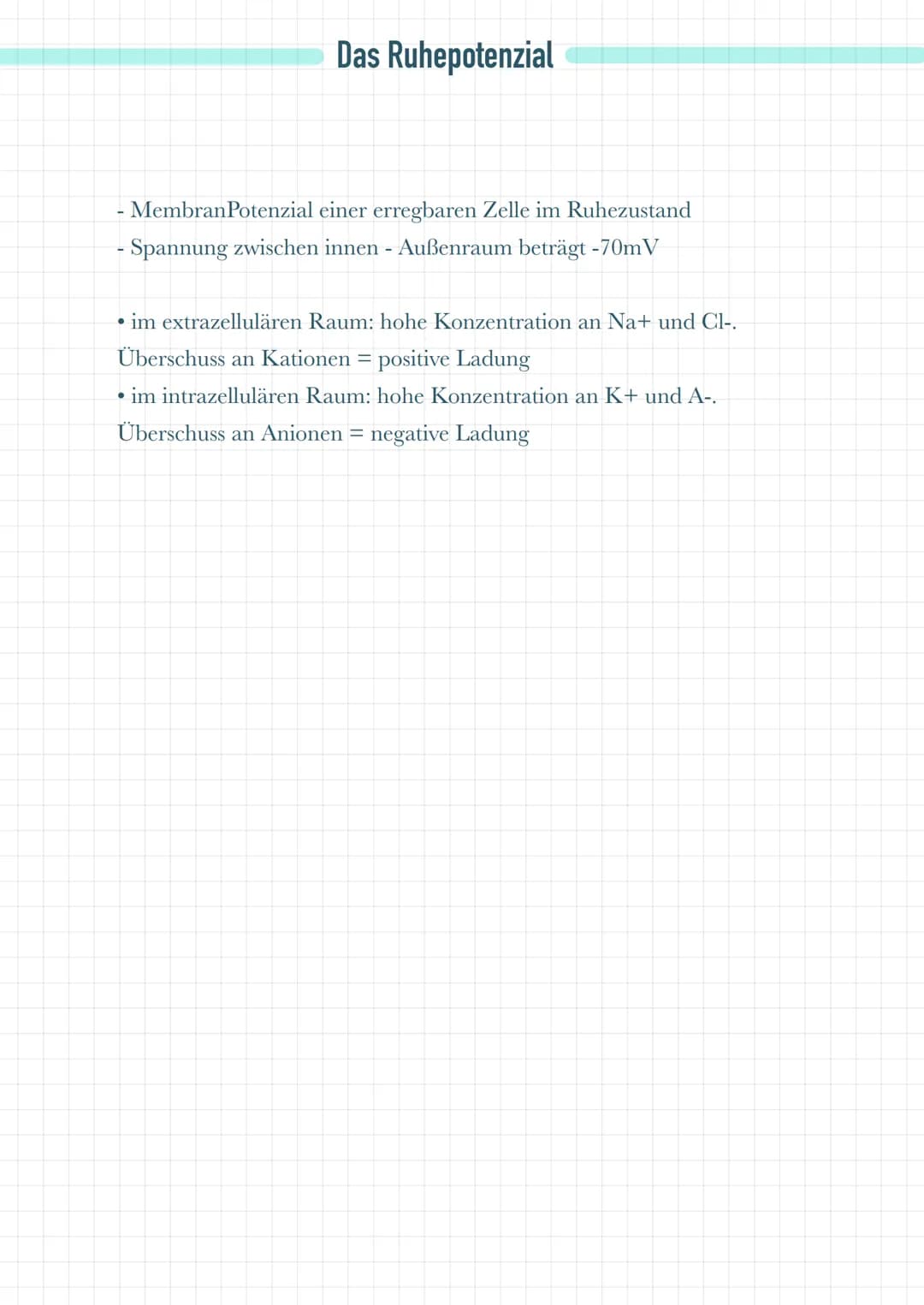Dentriten
Nehmen Informationen von benachbarten Zellen auf
• Leiten diese Informationen an das Soma weiter
Soma
●
Es befinden sich dort Mito