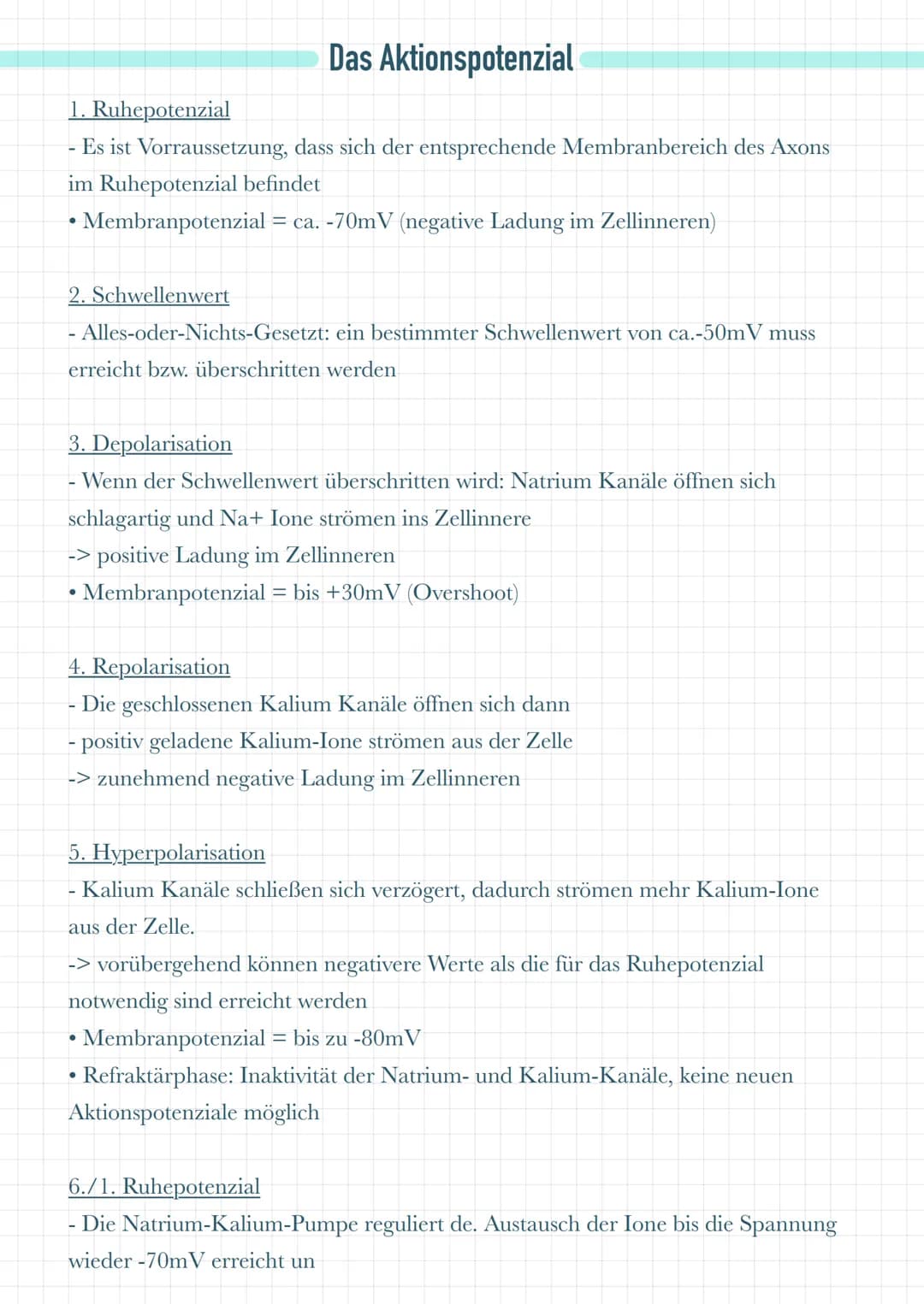 Dentriten
Nehmen Informationen von benachbarten Zellen auf
• Leiten diese Informationen an das Soma weiter
Soma
●
Es befinden sich dort Mito