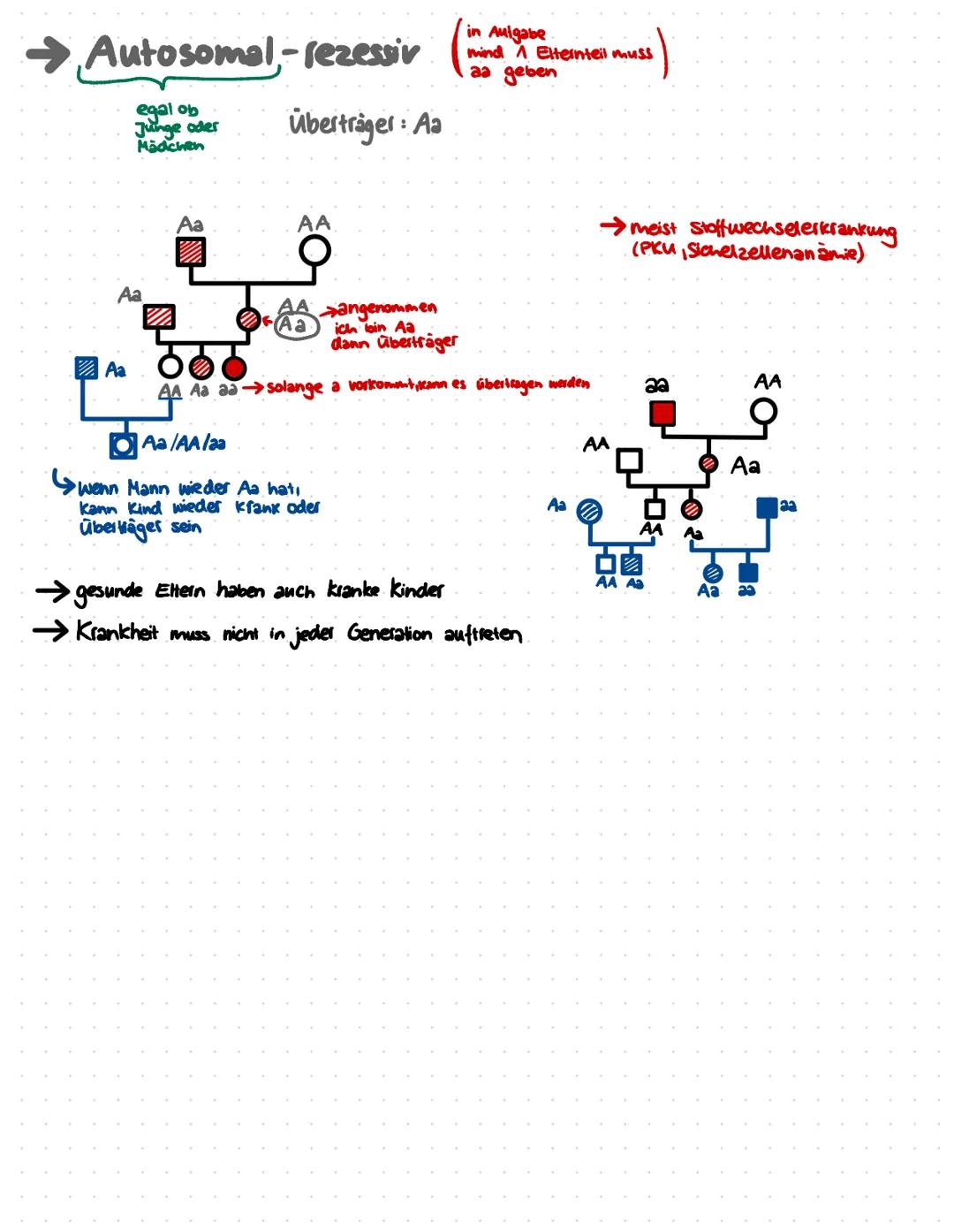 Mendelsche Regeln
einfacher Erbgang= 1 Merkmal ist für 1 Gen bestimmt (Bsp: Blütenfarbe von Erbsenpflanzen)
BEGRIFFE
Gen
Allel
Genotyp
Phäno
