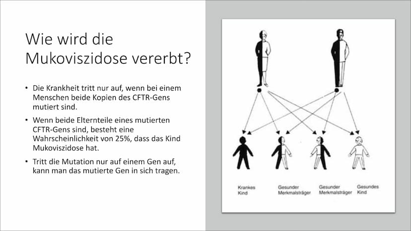 Mukoviszidose
Von Theodora ●
●
●
●
●
●
●
●
●
Inhaltsverzeichnis
Was ist Mukoviszidose?
Welche Organe sind betroffen?
Wie wird die Mukoviszid