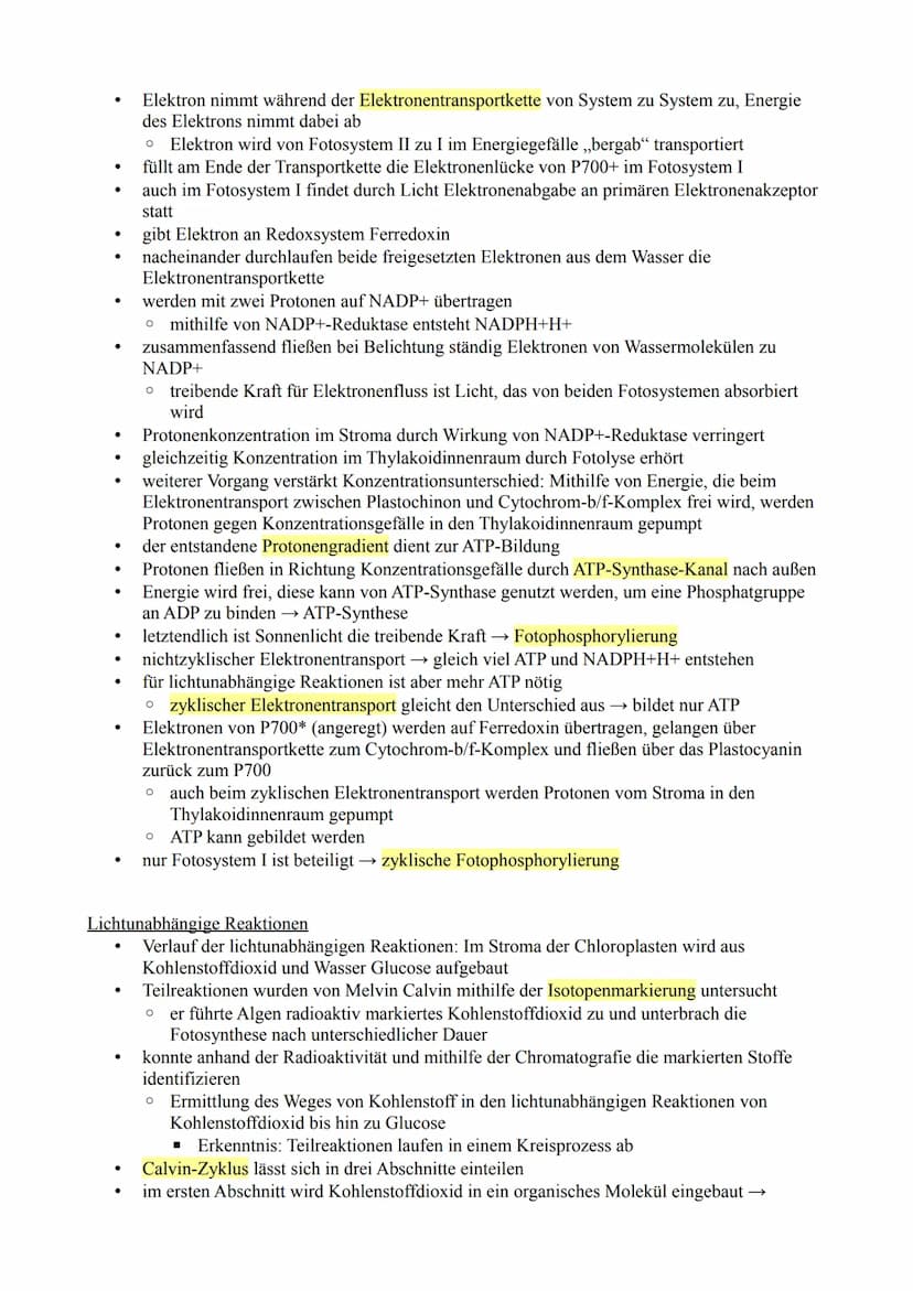 Fotosynthese
Bedeutung der Fotosynthese
●
●
●
●
●
●
Abhängigkeit der Fotosynthese von Außenfaktoren
wird von den äußeren Faktoren Licht, Tem