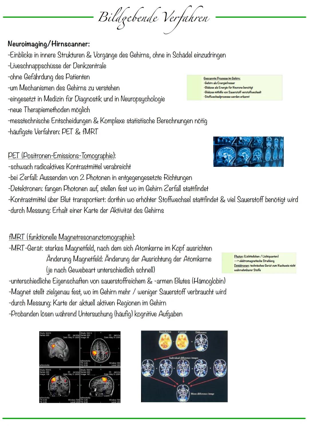 B
Aufbau Neuron
Synapse
Dendriten
Zellkern
Zellmembran
Zellkörper (Soma)
Axonhügel
Zellkern
Zellmembran
Axon
Cytoplasma
Hullzelle (Gliazelle