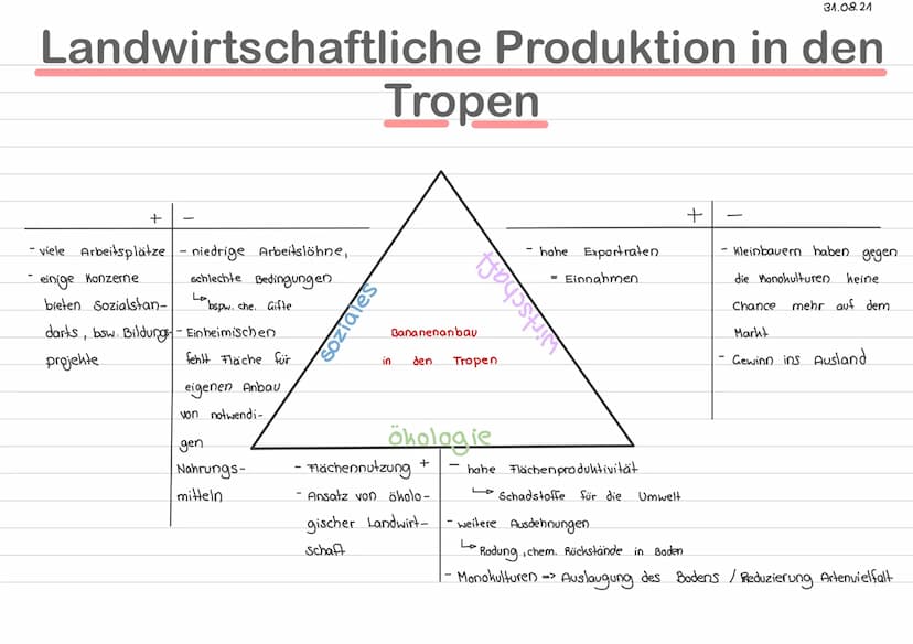 Landwirtschaft in den Tropen
Bevölkerungsentwicklung
- Bevölkerung steigt an
Bevölkerung → Volkswirtschaft (hleinbäuerliche Landwirtschaft u