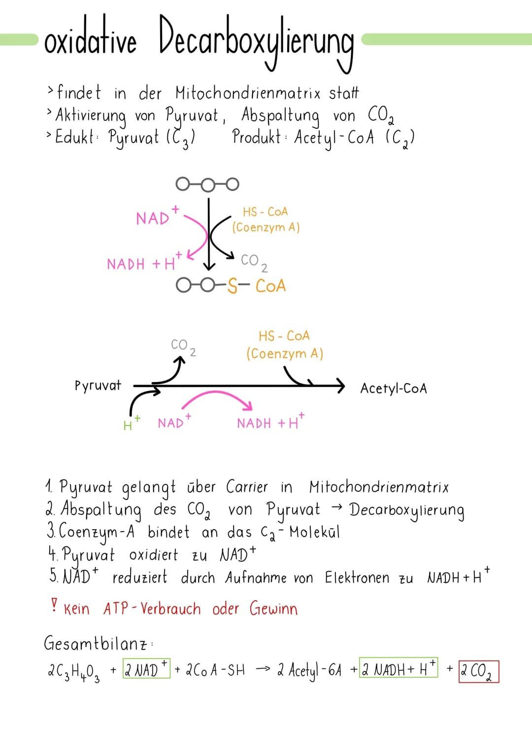 Zellatmung
> Ziel ist die Energiegewinnung
> Glucose wird zu Kohlenstoff oxidiert Redoxreaktion
>Sauerstoff wird zu Wasser reduziert
findet 