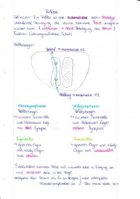 Know Reflexe - Abiturvorbereitung  thumbnail