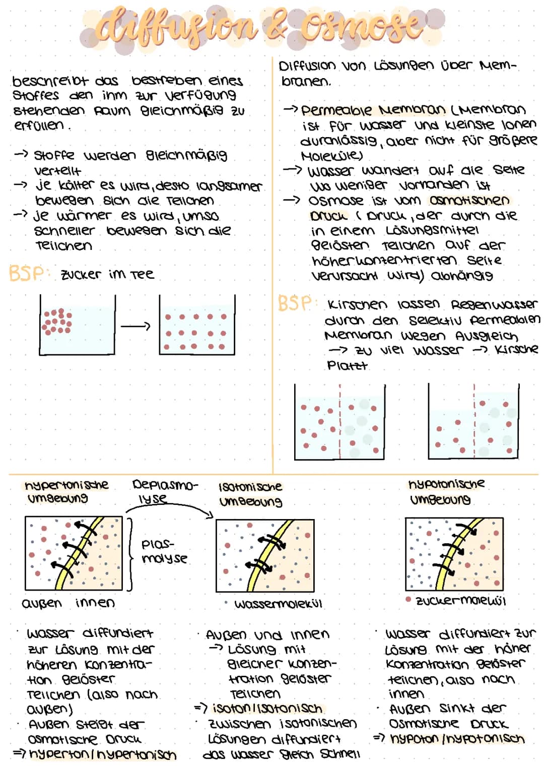Diffusion und Osmose 