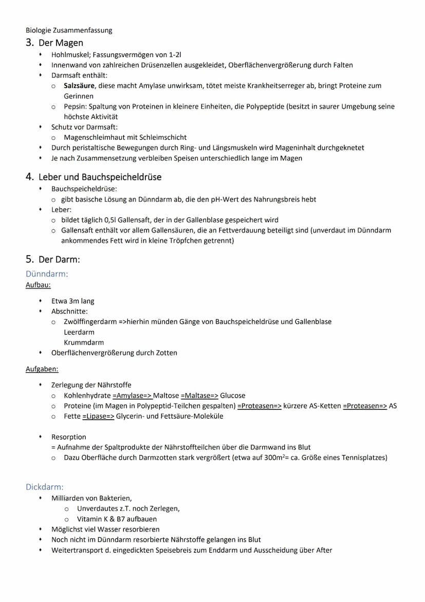 Biologie Zusammenfassung
Der Weg der Nahrung:
1. Übersicht:
2. Mund und Speiseröhre
Aufbau:
♦
Funktion:
♦
♦
•
Mund
Zerkleinert und verflüssi