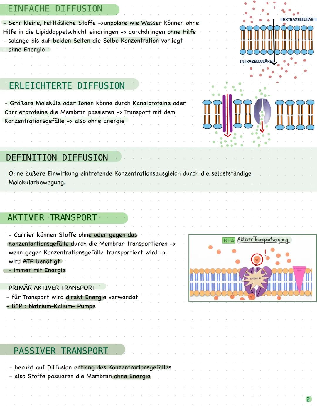 # BIO

# LERNZETTEL

►TRANSPORTMECHANISMEN

Kanalprotein

KANALPROTEIN

- Das sind Proteine welche bestimmte Stoffe durch dir Membran durchl