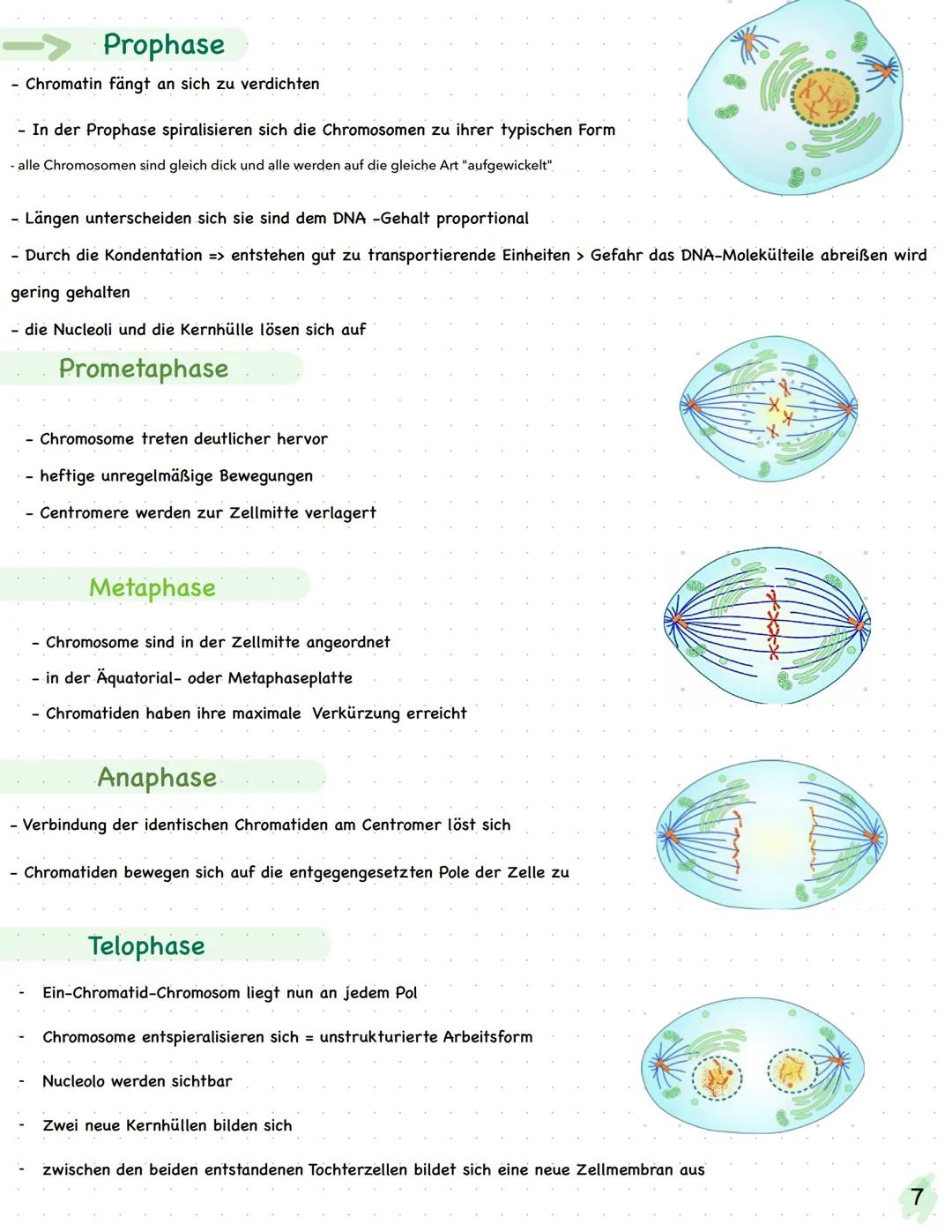 # BIO

# LERNZETTEL

►TRANSPORTMECHANISMEN

Kanalprotein

KANALPROTEIN

- Das sind Proteine welche bestimmte Stoffe durch dir Membran durchl