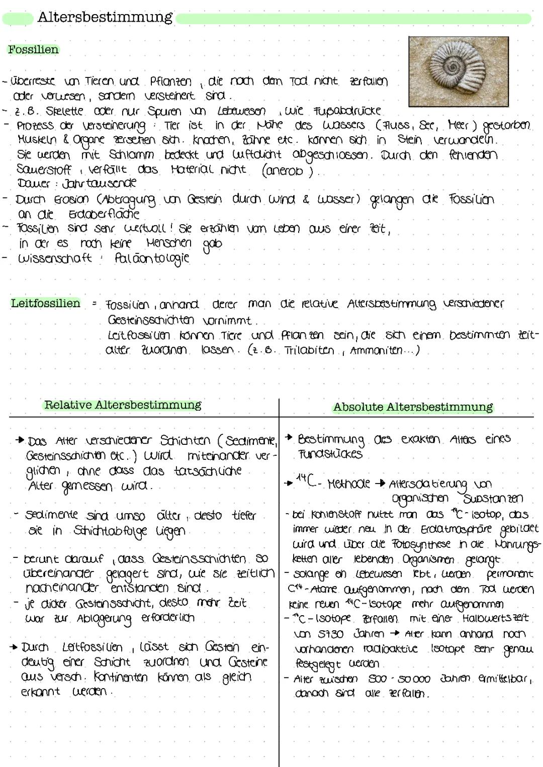 Altersbestimmung von Fossilien: Einfach erklärt mit C14-Methode