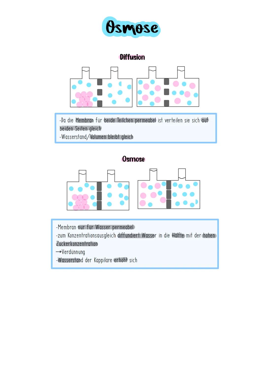 # Diffusion

Gleichmäßige Verteilung der Teilchen in dem zur Verfügung stehenden Raum
Ursache Brownsche Molekularbewegung (passiv)

-Durch B
