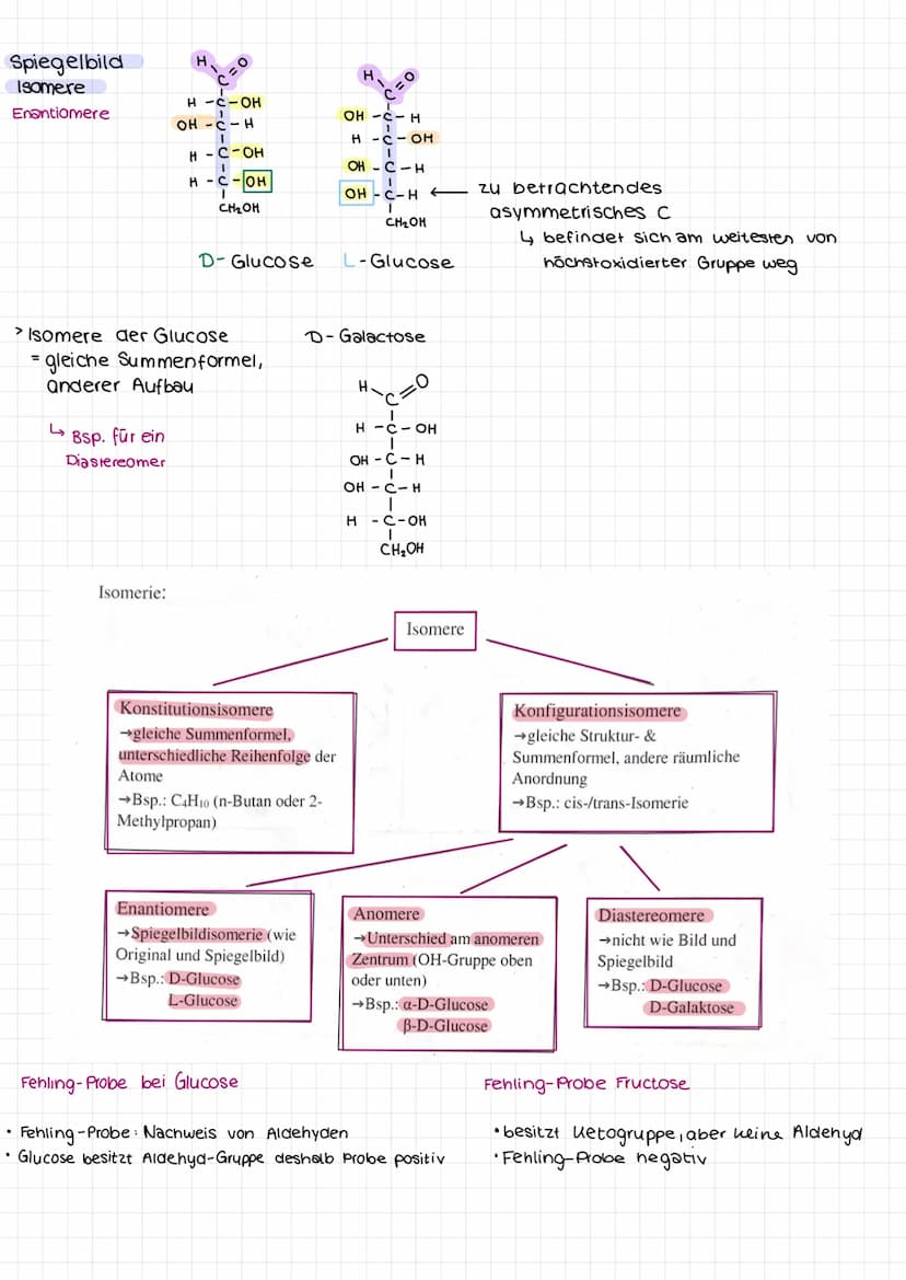 Kohlenhydrate
= Monosachraride
= Disaccharide
= Polysaccharide
• Einfachzucker
Zweifachzucker
Mehrfachzucker
Bsp. Monosacchraria
Hexose = Zu