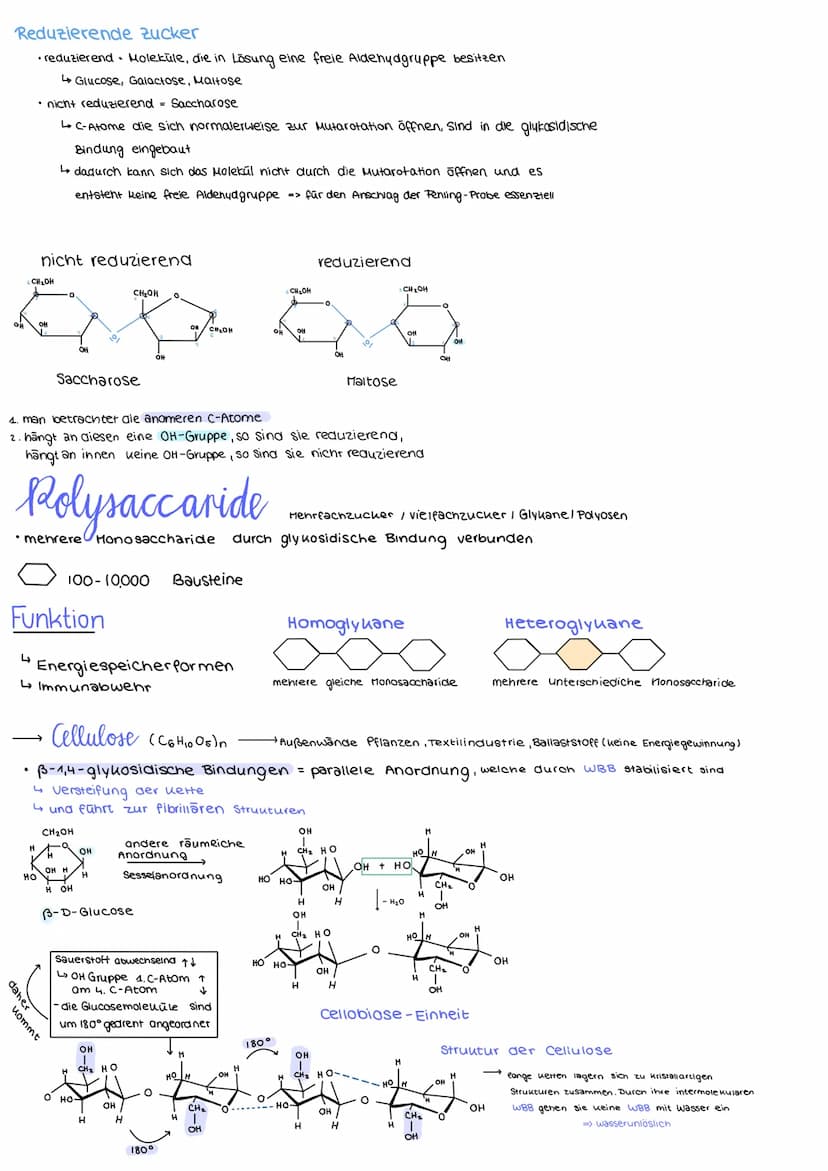Kohlenhydrate
= Monosachraride
= Disaccharide
= Polysaccharide
• Einfachzucker
Zweifachzucker
Mehrfachzucker
Bsp. Monosacchraria
Hexose = Zu