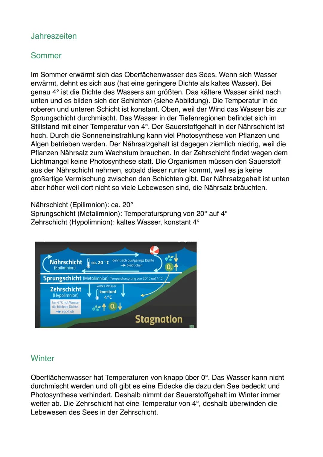 Lernzettel Ökosystem
Die drei wesentlichen Eigenschaften eines Ökosystems:
1. Ökosystem sind offen
-> Ökosysteme gehen nahtlos in andere Öko
