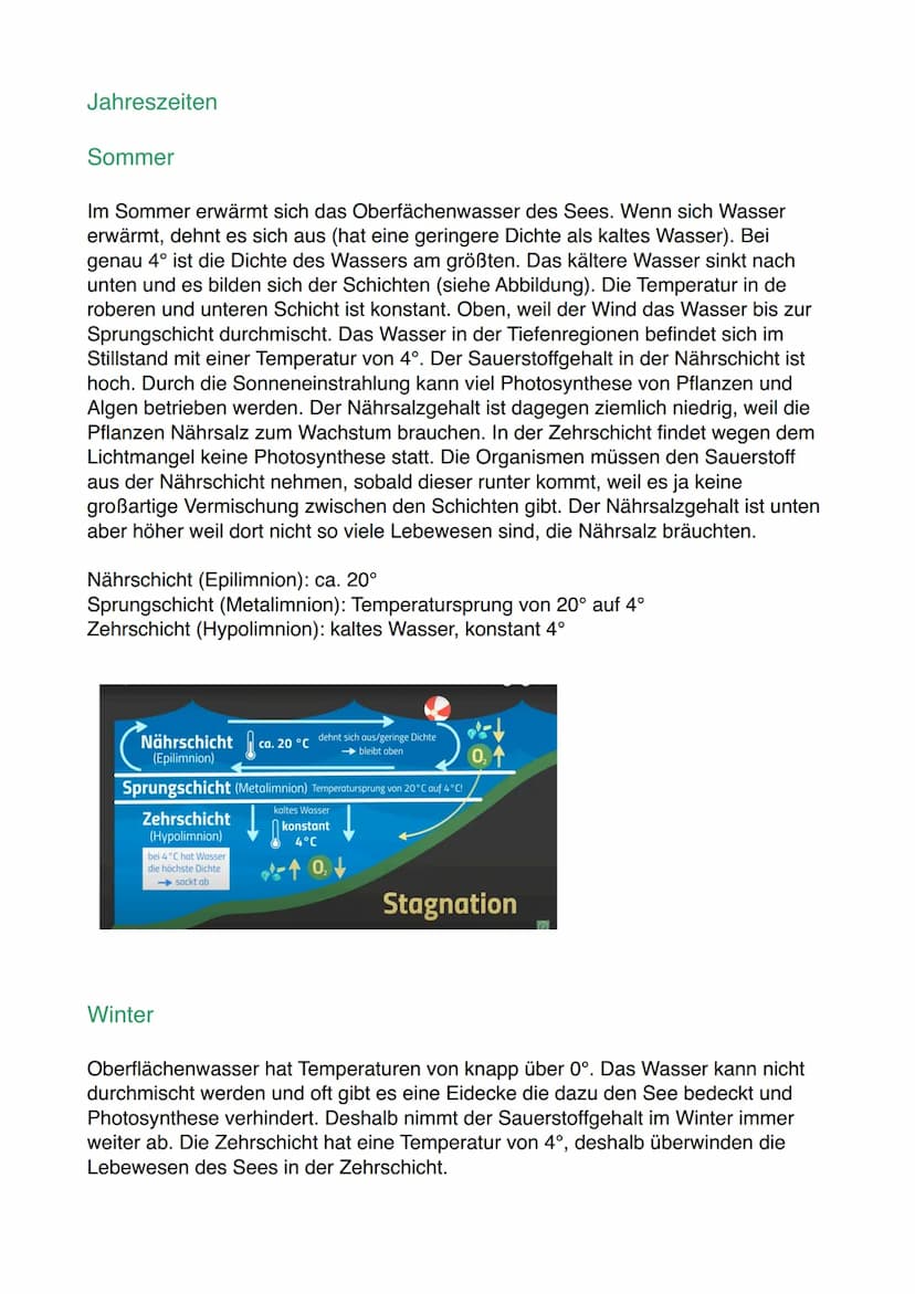 Lernzettel Ökosystem
Die drei wesentlichen Eigenschaften eines Ökosystems:
1. Ökosystem sind offen
-> Ökosysteme gehen nahtlos in andere Öko