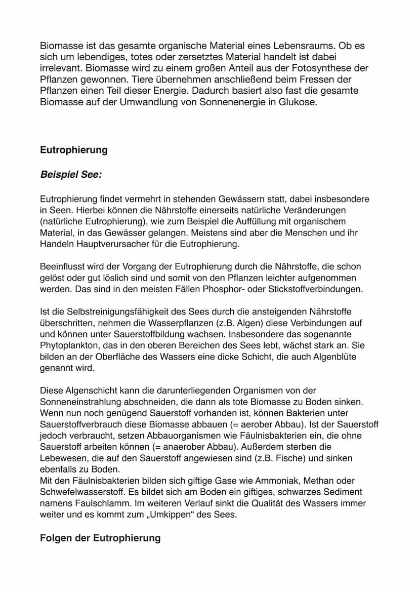 Lernzettel Ökosystem
Die drei wesentlichen Eigenschaften eines Ökosystems:
1. Ökosystem sind offen
-> Ökosysteme gehen nahtlos in andere Öko