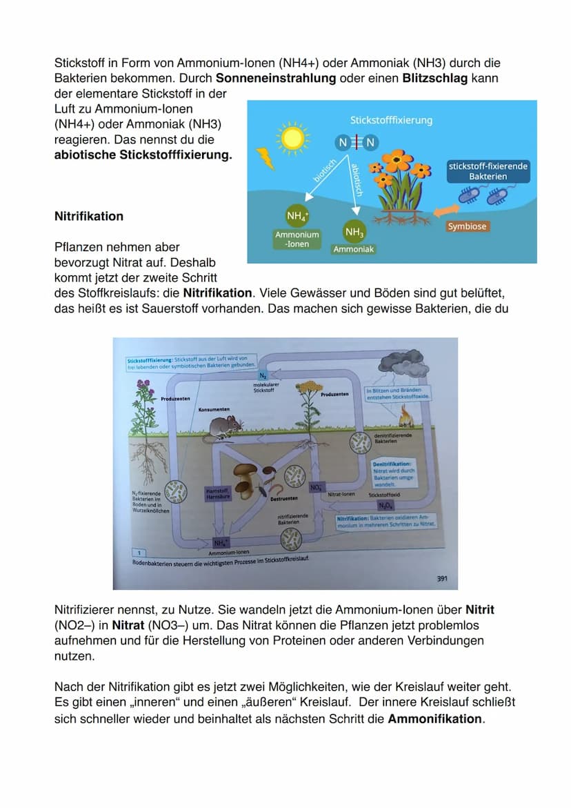 Lernzettel Ökosystem
Die drei wesentlichen Eigenschaften eines Ökosystems:
1. Ökosystem sind offen
-> Ökosysteme gehen nahtlos in andere Öko