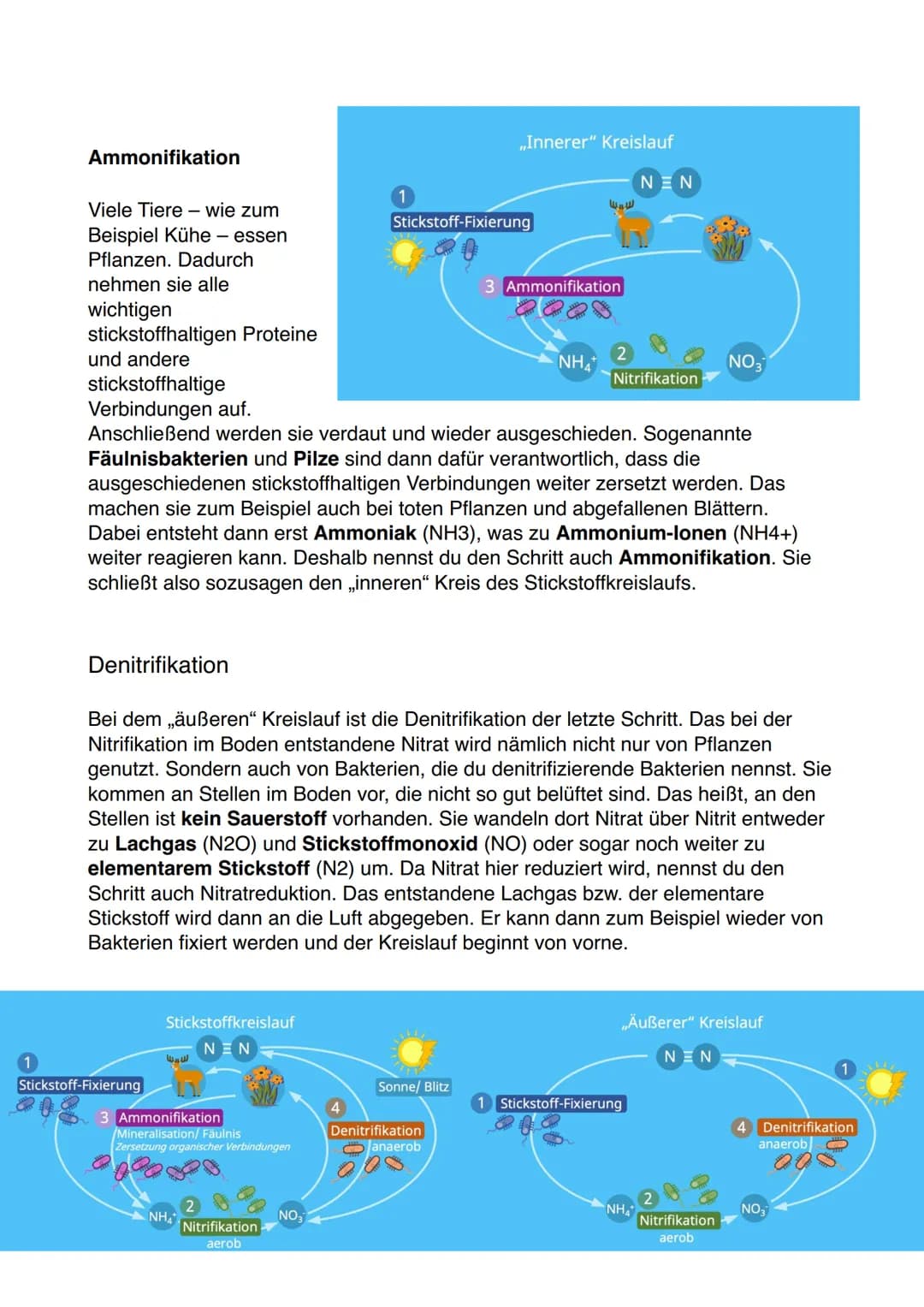 Lernzettel Ökosystem
Die drei wesentlichen Eigenschaften eines Ökosystems:
1. Ökosystem sind offen
-> Ökosysteme gehen nahtlos in andere Öko