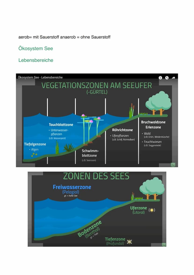 Lernzettel Ökosystem
Die drei wesentlichen Eigenschaften eines Ökosystems:
1. Ökosystem sind offen
-> Ökosysteme gehen nahtlos in andere Öko