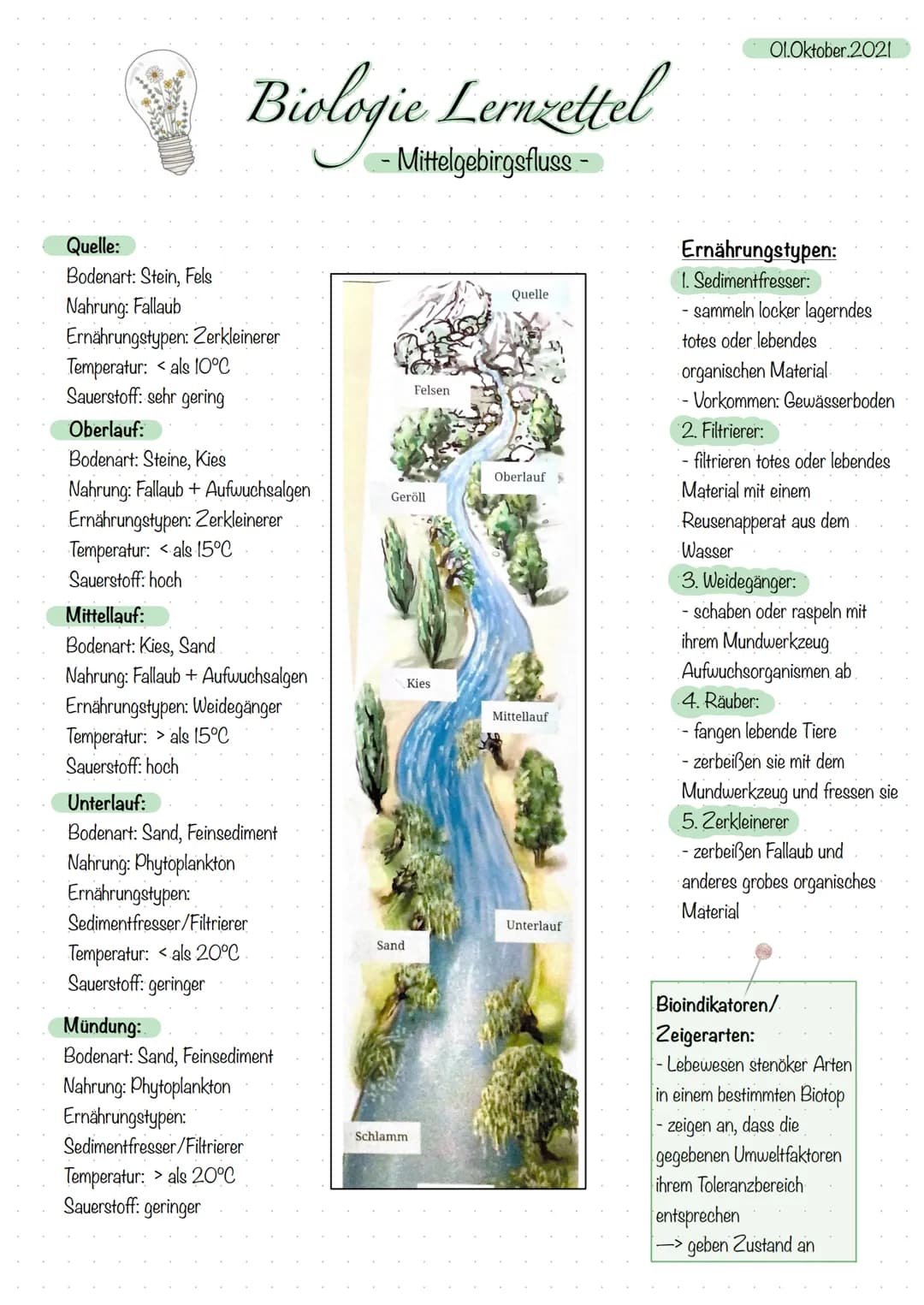 Quelle:
Bodenart: Stein, Fels
Nahrung: Fallaub
Biologie Lernzettel
-Mittelgebirgsfluss-
Ernährungstypen: Zerkleinerer
Temperatur: als 10°C
S