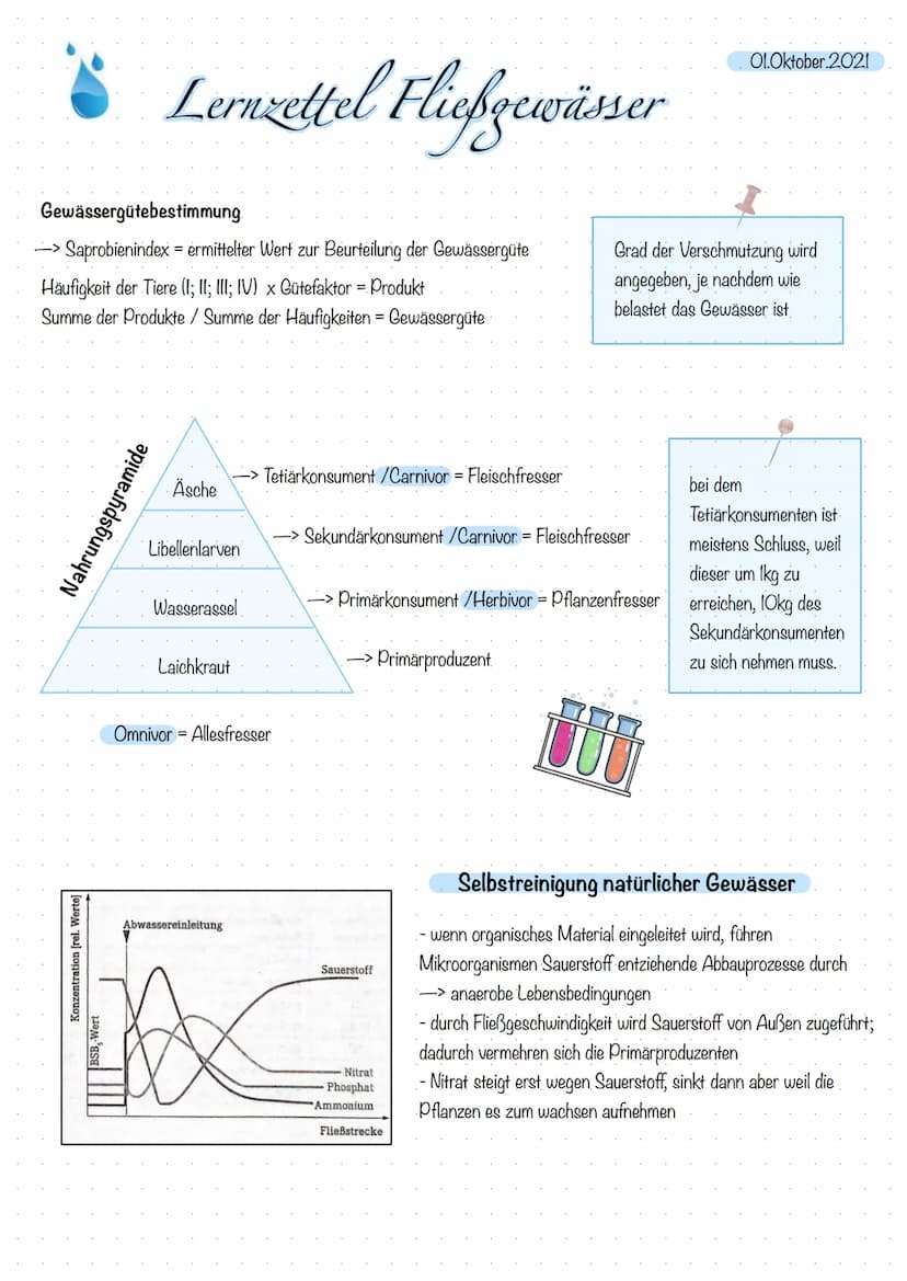 Quelle:
Bodenart: Stein, Fels
Nahrung: Fallaub
Biologie Lernzettel
-Mittelgebirgsfluss-
Ernährungstypen: Zerkleinerer
Temperatur: als 10°C
S