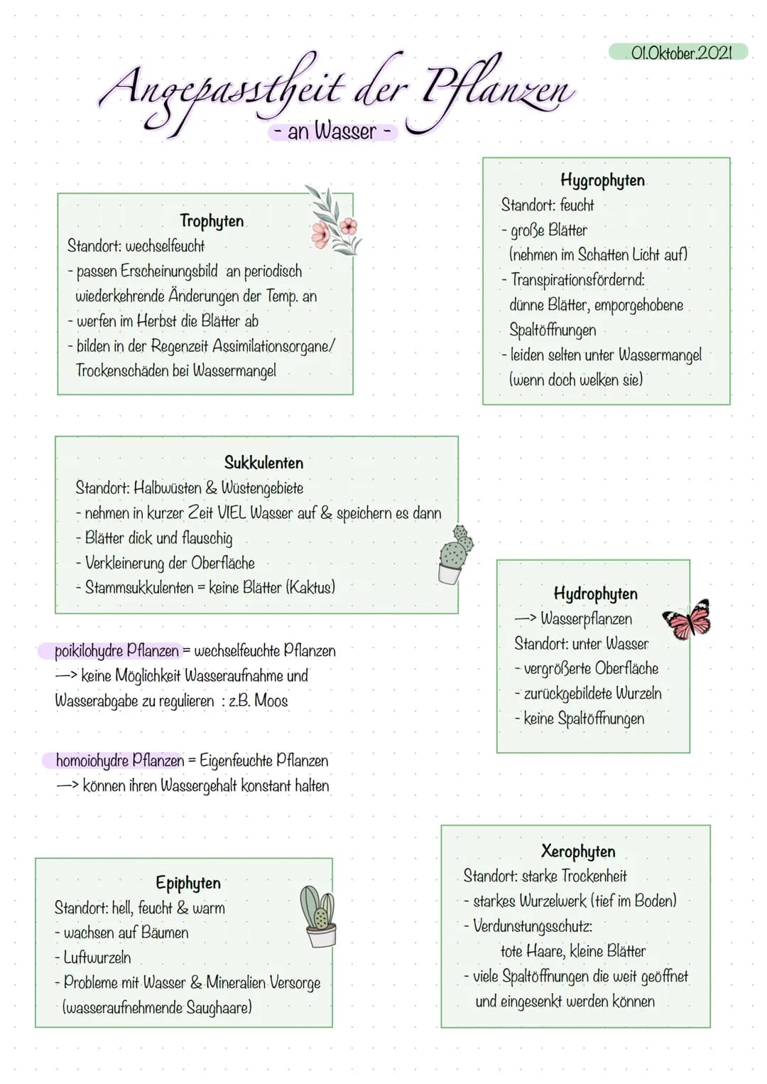 Quelle:
Bodenart: Stein, Fels
Nahrung: Fallaub
Biologie Lernzettel
-Mittelgebirgsfluss-
Ernährungstypen: Zerkleinerer
Temperatur: als 10°C
S
