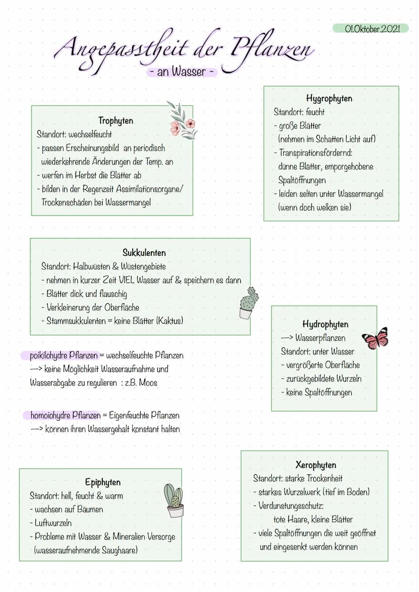 Quelle:
Bodenart: Stein, Fels
Nahrung: Fallaub
Biologie Lernzettel
-Mittelgebirgsfluss-
Ernährungstypen: Zerkleinerer
Temperatur: als 10°C
S