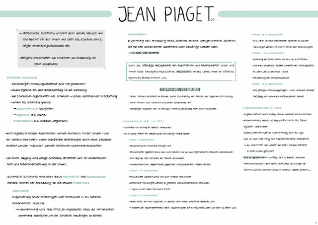 Know Piaget Lernzettel thumbnail