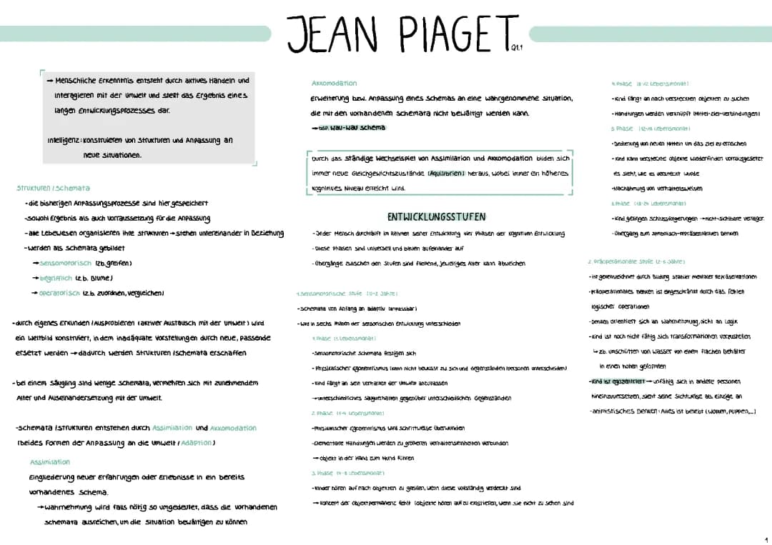 Piaget Lernzettel