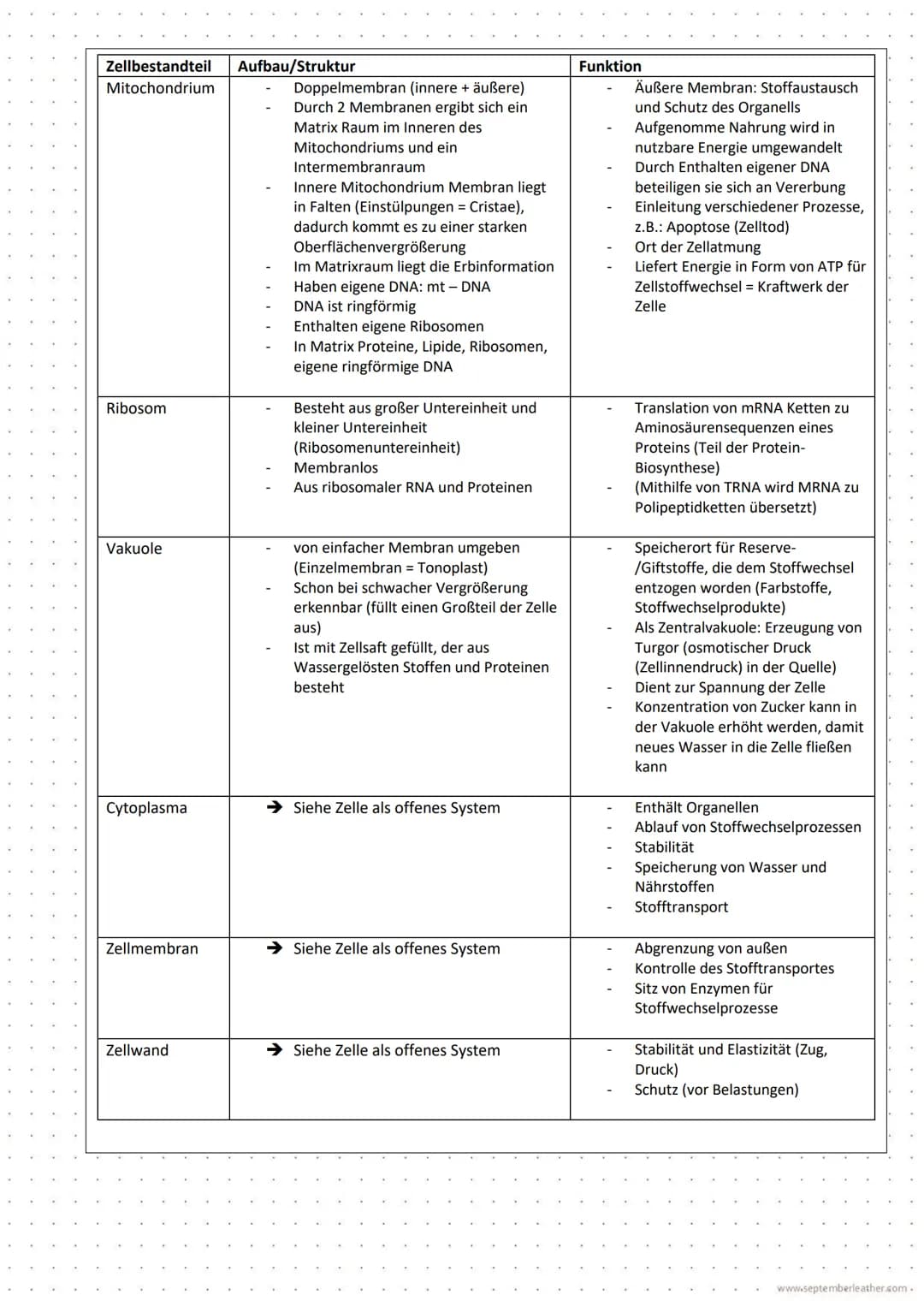 Klausur Biologie - LEISTUNGSKURS
Thema: Zellen, Gewebe, Organe und ihre funktionsbezogene Differenzierung
Name:
Jasmin
56 56 +117
/ 70
BE:
1