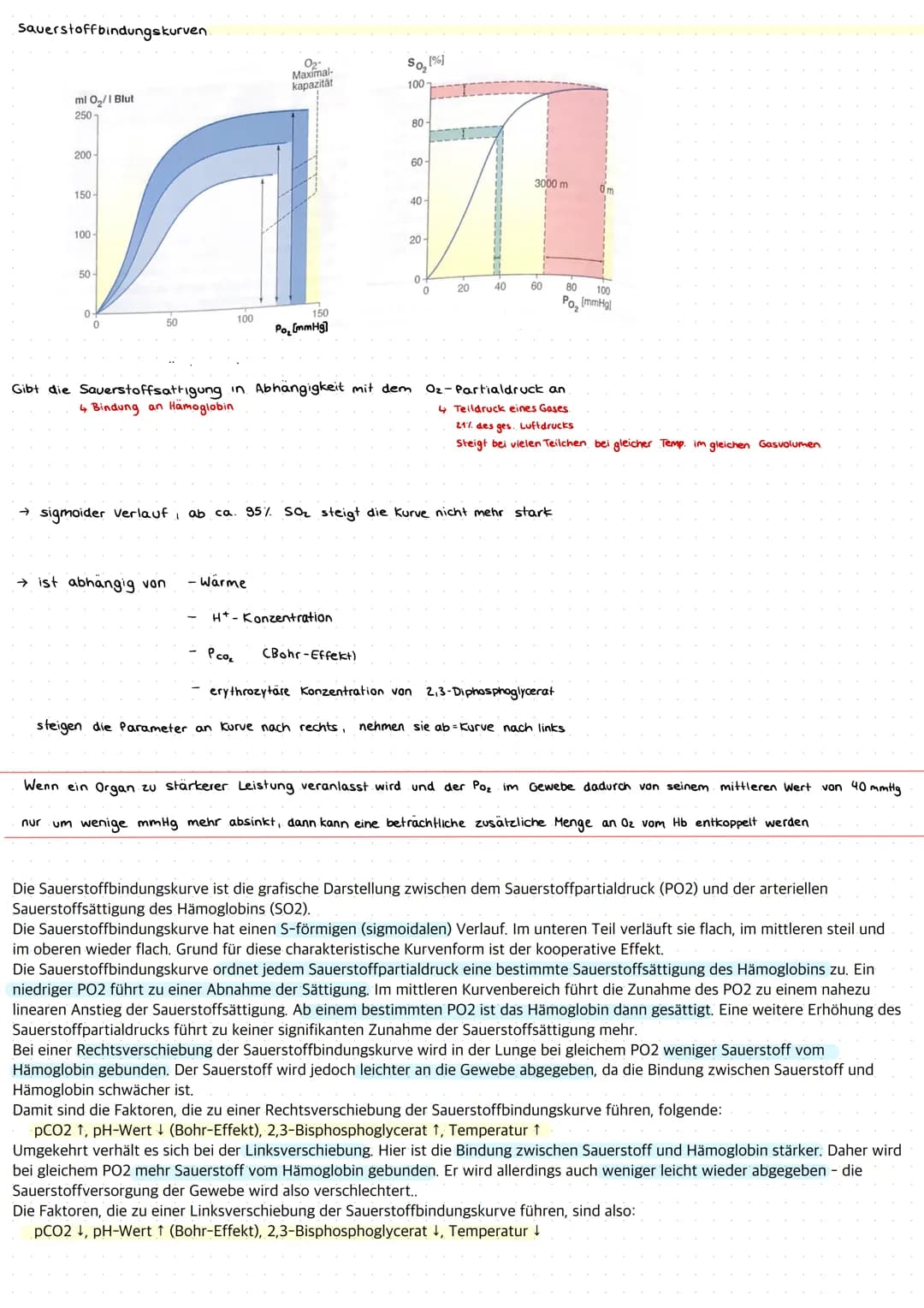 Zellatmung
Umwandlung energiereicher Stoffe in energiearmere, bei der Energie in Form von Wärme und ATP freigesetzt.
wird Dissimilation
anae