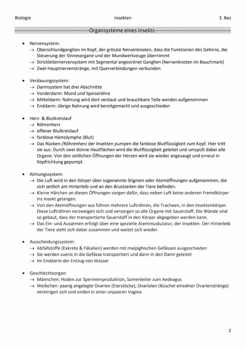 Biologie
Stämme
●
●
Insekt
Weichtiere
Ringelwürmer
●
Gliederfüssler
Stachelhäuter
Wirbeltiere
● totes Chitin
● Häutung notwendig
Klasse
-Stä
