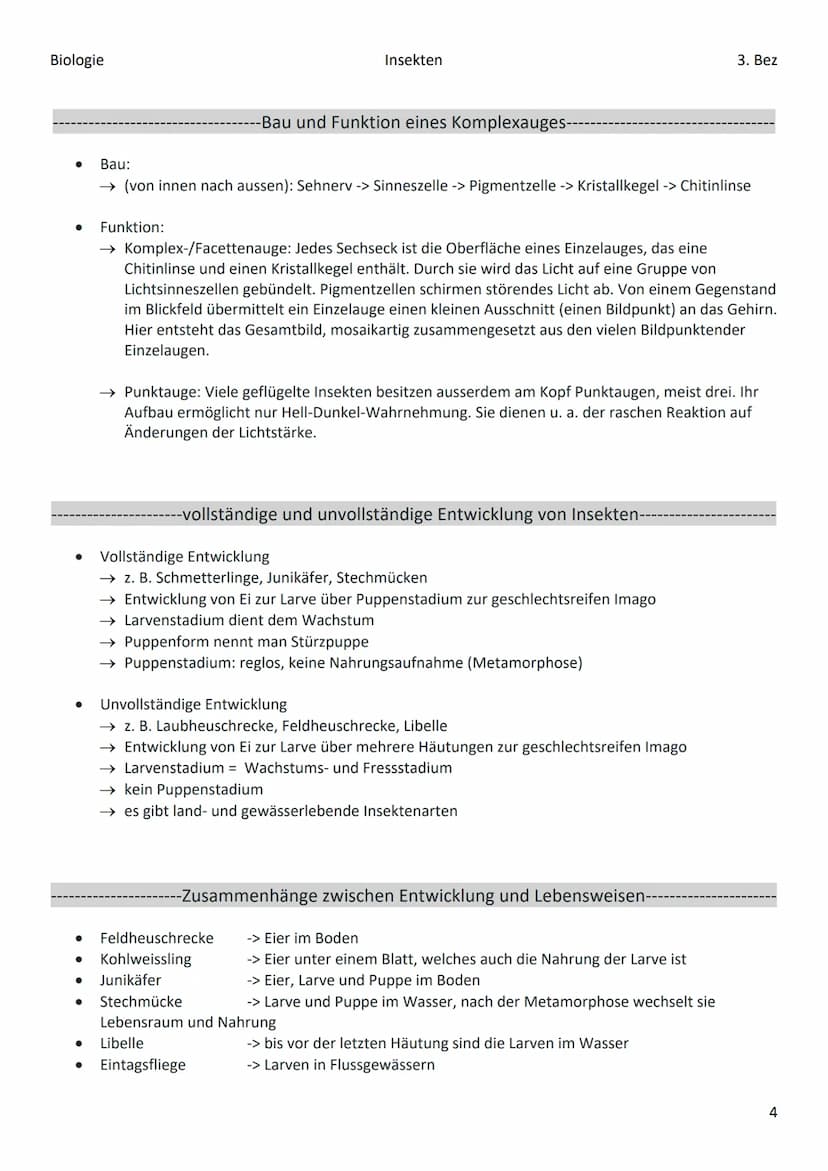 Biologie
Stämme
●
●
Insekt
Weichtiere
Ringelwürmer
●
Gliederfüssler
Stachelhäuter
Wirbeltiere
● totes Chitin
● Häutung notwendig
Klasse
-Stä