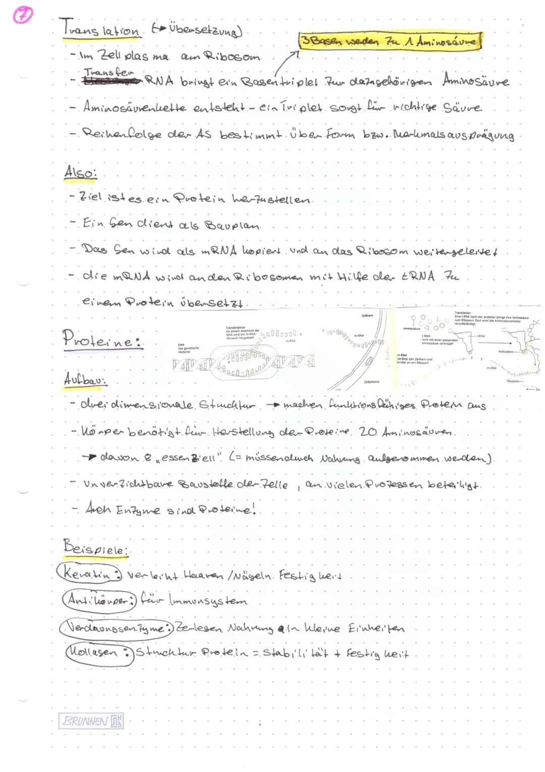 Biologie KA@
Aufbau Chromosom:
Ein Chromosom kann vorliegen als
Einzelchromosom
Centromer-) ( D
Genoma
- das gesamte genetische.
Material ei